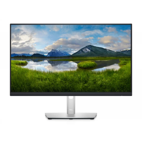 Monitor 23.8" DELL 210-BBBG P2422HE 1920 x 1080 Full HD 60Hz screen matrix IPS